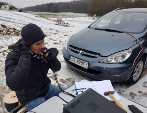 Stramniczka 2019 / SPFF-0347