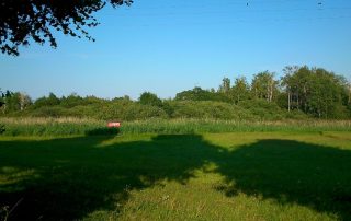 Rezerwat Roby